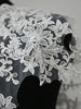 2 Yards x 25cm Width Floral Embroidery Bride Wedding Veil Lace Trim
