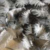 130cm Width x 95cm Length Feather Pattern Embroidery Lace Fabric