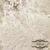 59” Width Ivory Wedding Embroidery Dotted Lace Fabric by the Yard