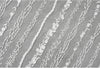 130cm Width x 90cm Length Premium Stripe Embroidery Wedding Lace Fabric