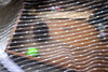 59” Width Golden and Silver Lining Embroidery Lace Fabric by The Yard